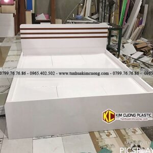 Giường nhựa đài loan giá rẻ A03