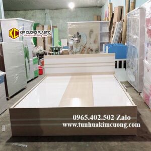 Giường nhựa đài loan 1m6